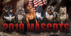 BECOME AN OFFICIAL 2019 BULLY KING MAGAZINE MASCOT!