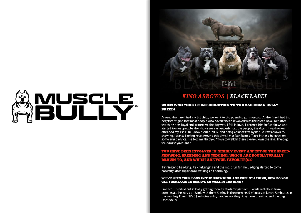 ADVERTISING | GET FEATURED IN THE NEXT ISSUE-BULLY KING Magazine