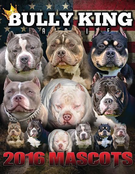 Single Issues-BULLY KING Magazine