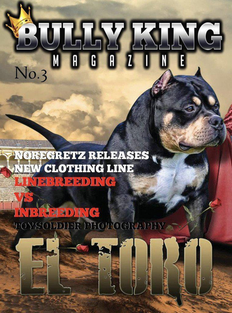 Year Subscription | 6 Issues-BULLY KING Magazine